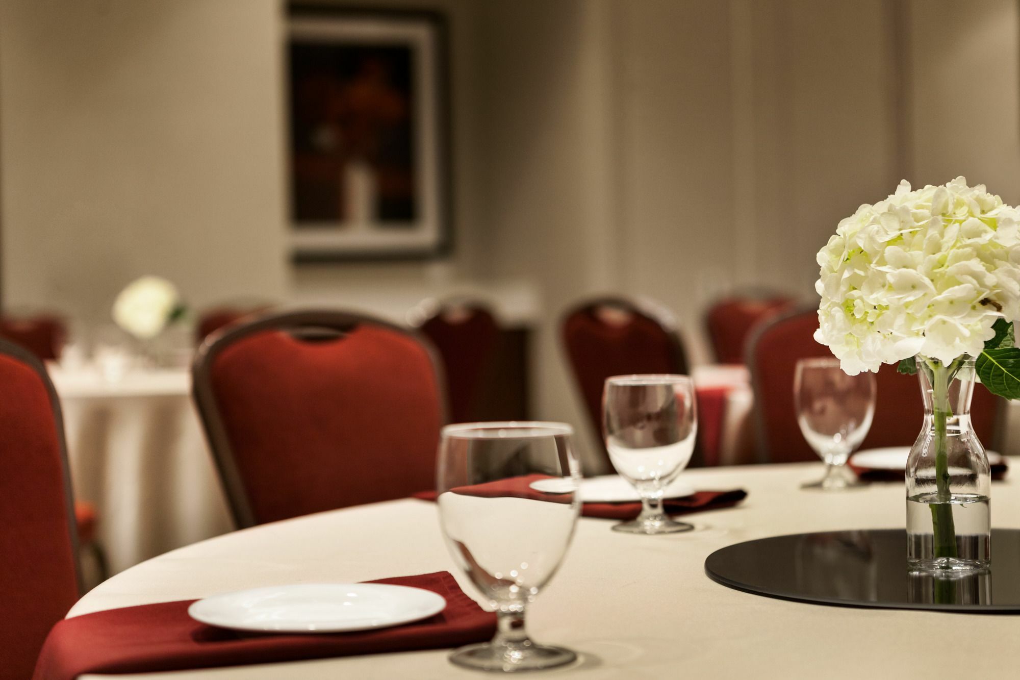 Hilton Garden Inn Charlotte Southpark Ngoại thất bức ảnh